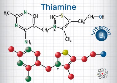 Tiamin tiamin veya B1 vitamini , gıda bulunan, bir diyet takviyesi ve ilaç olarak kullanılan. Yapısal kimyasal formül ve molekül modeli. Kafesteki kağıt levha