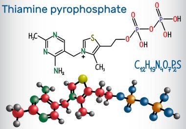 Thiamine pyrophosphate TPP, thiamine diphosphate , is a cofactor that is present in all living systems. Structural chemical formula and molecule model clipart