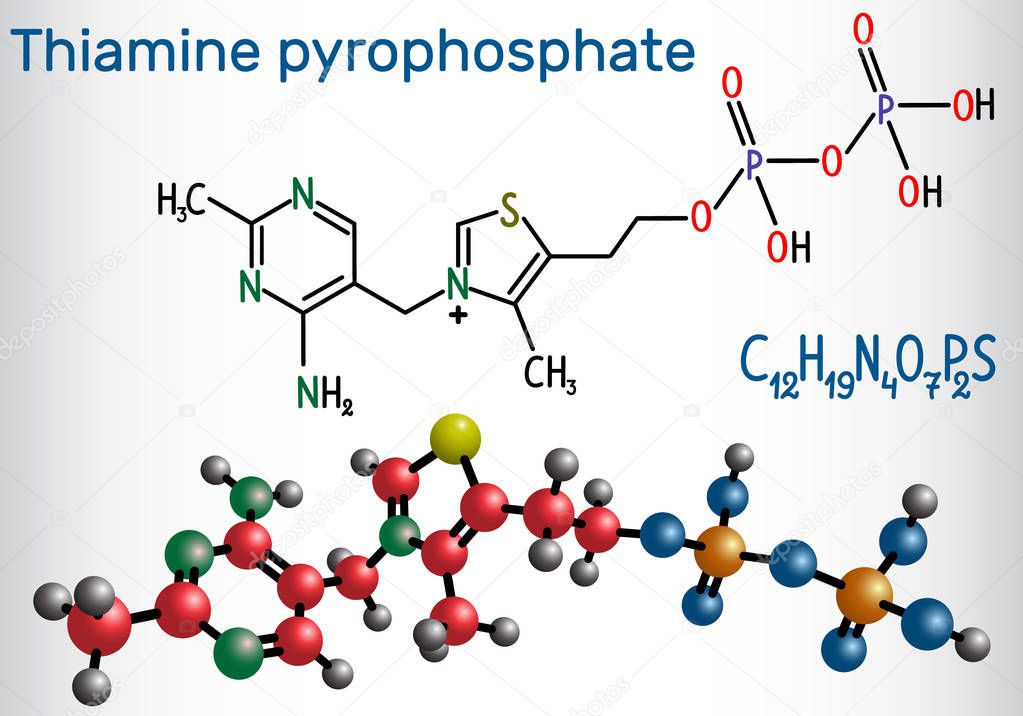 Thiamine pyrophosphate TPP, thiamine diphosphate , is a cofactor that is present in all living systems. Structural chemical formula and molecule model