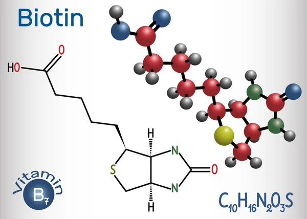 Biotin B7 vitamini . Yapısal kimyasal formül ve molekül modeli
