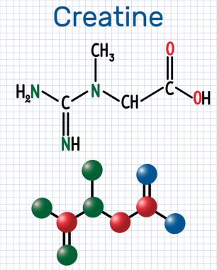 Creatine molecule. Structural chemical formula and molecule model. Sheet of paper in a cag clipart