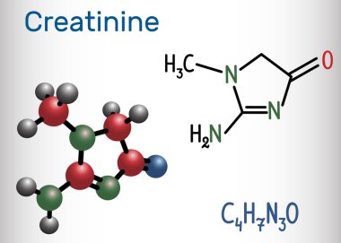 Creatinine molecule. Structural chemical formula and molecule model.  clipart