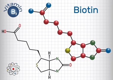 Biotin B7 vitamini . Yapısal kimyasal formül ve molekül modeli. Kafesteki kağıt levha