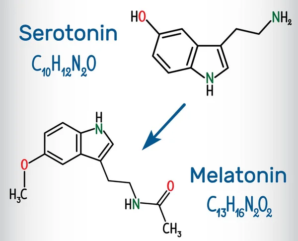 Молекула серотонина и мелатонина, гормон счастья и гормон сна. Структурная химическая формула — стоковый вектор