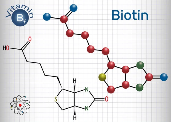 Biotina vitamina B7. Fórmula química estructural y modelo molecular. Hoja de papel en una jaula — Vector de stock