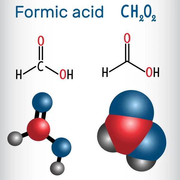 Ameisensäure-Methanmolekül. Strukturchemische Formel und Molekülmodell — Stockvektor
