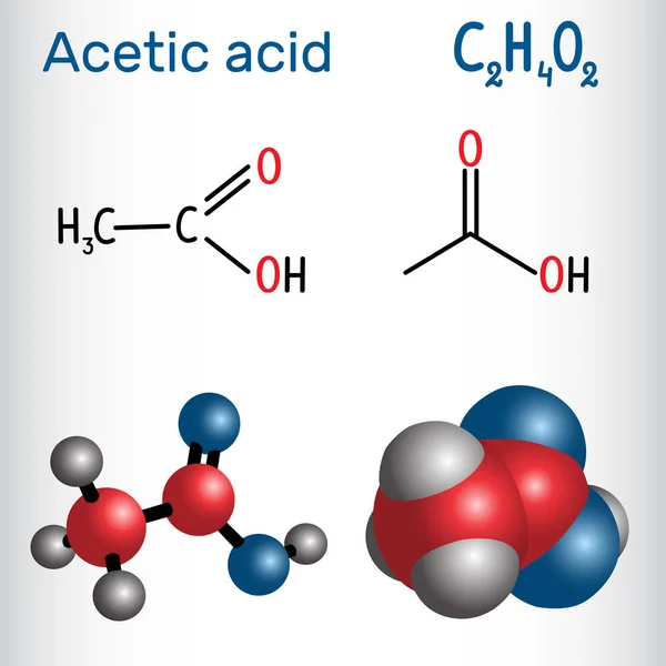 Molecola etanoica dell'acido acetico. Formula chimica strutturale e modello molecolare — Vettoriale Stock