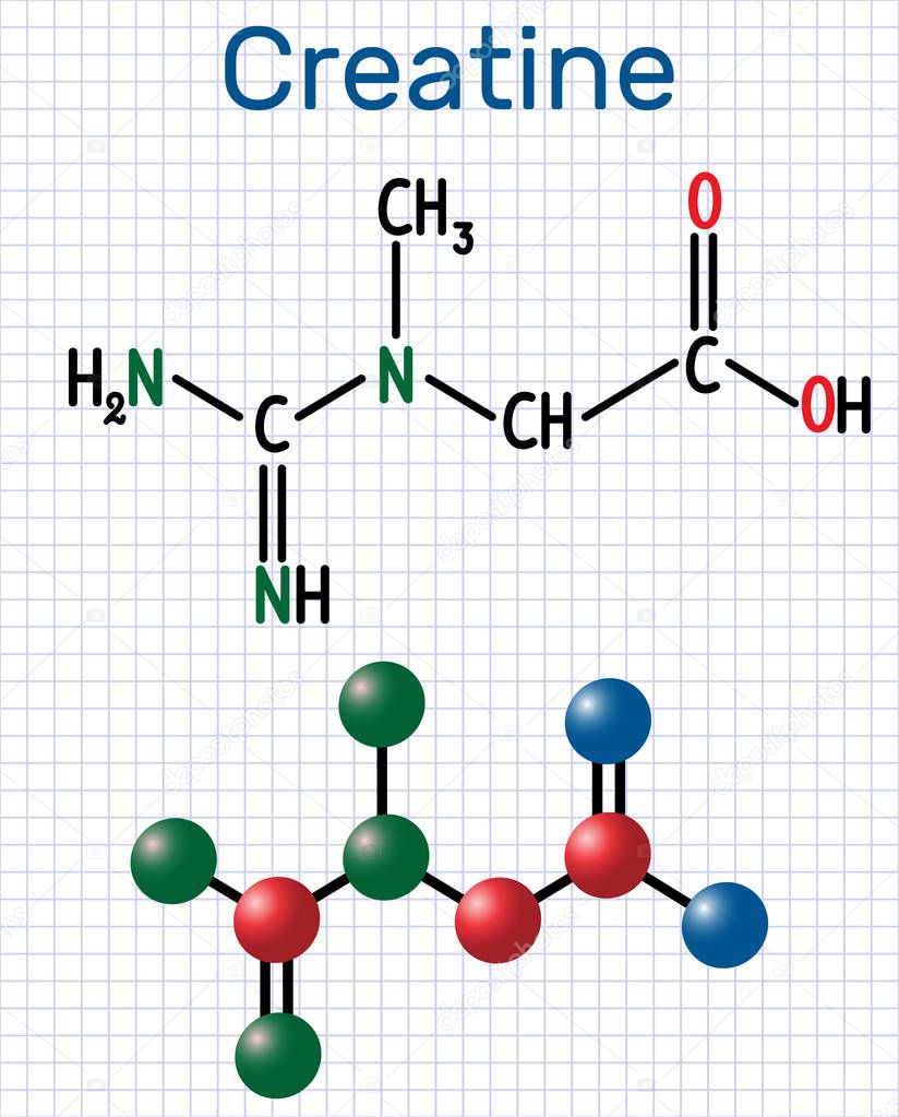 Creatine molecule. Structural chemical formula and molecule model. Sheet of paper in a cag
