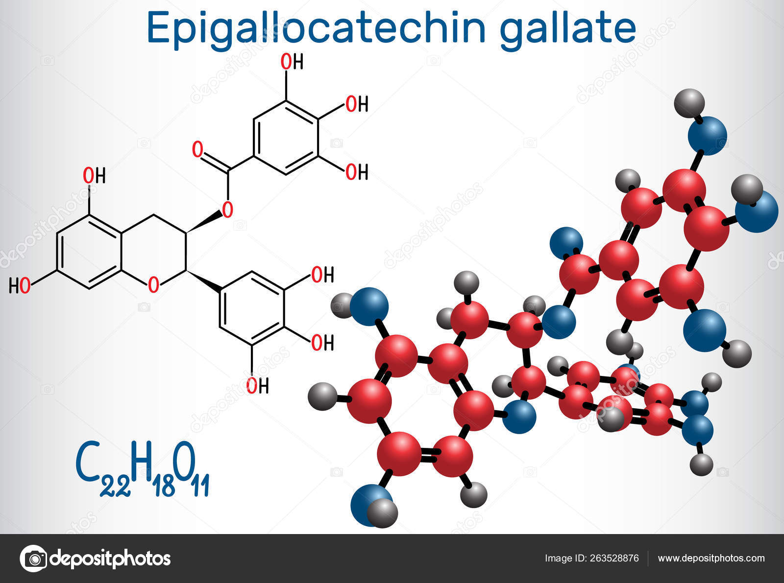 El galato de epigalocatequina, EGCG, es