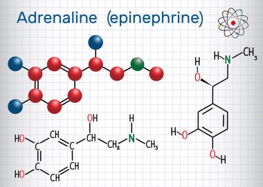 Adrenalin epinefrin molekülü . Bir hormon, nörotransmitter, ve ilaç. Yapısal kimyasal formül ve molekül modeli. Kafesteki kağıt levha
