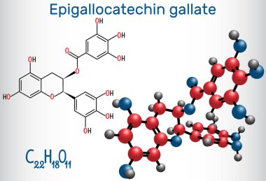 Epigallocatechin gallate, Egcg , çay en bol kateşin olduğunu. Yapısal kimyasal formül ve molekül modeli