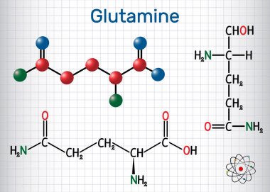 Glutamin, Gln, amino asit molekülü. Yapısal kimyasal formül ve molekül modeli. Kafesteki kağıt levha.
