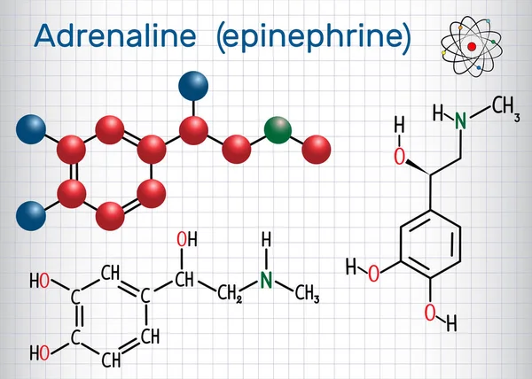 Epinefrina adrenalina. Es una hormona, neurotransmisor y medicación. Fórmula química estructural y modelo molecular. Hoja de papel en una jaula — Vector de stock