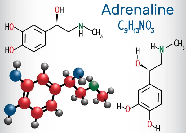 Epinefrina adrenalina. Es una hormona, neurotransmisor y medicación. Fórmula química estructural y modelo molecular — Vector de stock