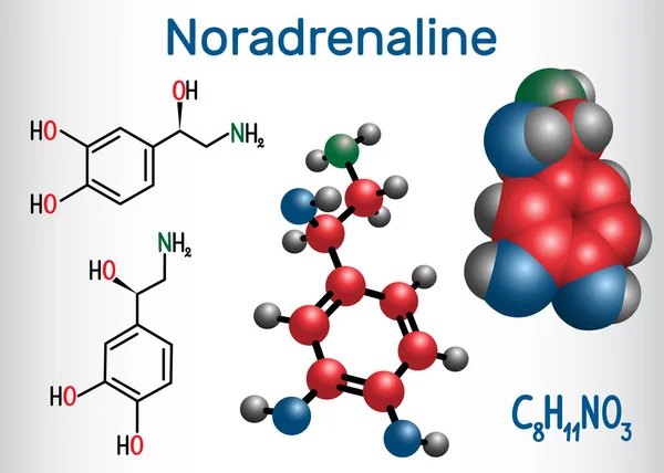Noradrenalina NA, noradrenalina, molécula de NE. É um hormônio e neurotransmissor. Fórmula química estrutural e modelo de molécula —  Vetores de Stock