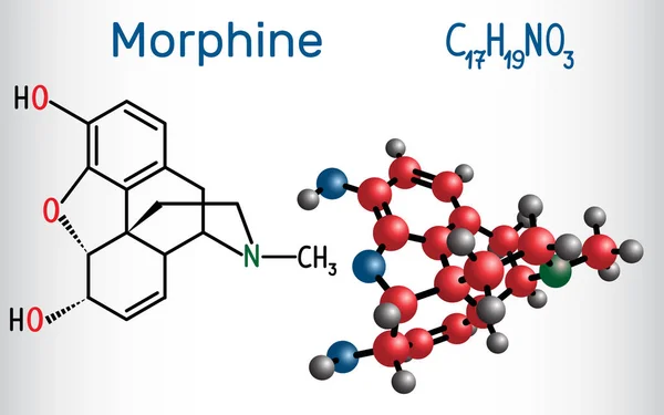 Molécula de morfina. Es un medicamento para el dolor del opiáceo. Fórmula química estructural y modelo molecular — Vector de stock