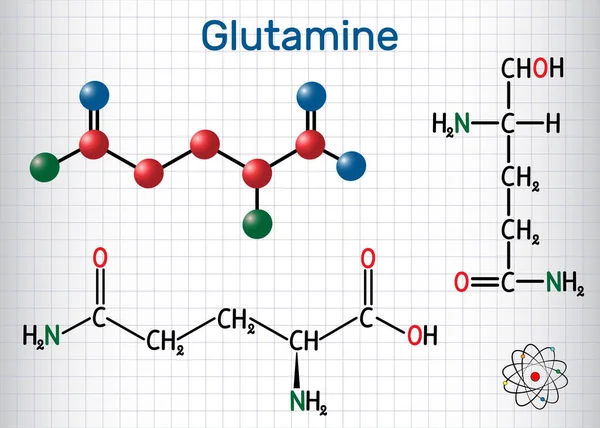 Glutamina, Gln, molécula de aminoácidos. Fórmula química estructural y modelo molecular. Hoja de papel en una jaula . — Vector de stock