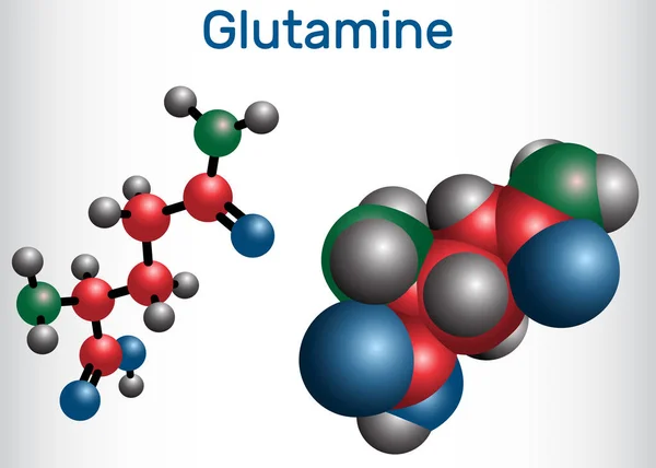 Glutamine, Gln, molécule d'acides aminés. Formule chimique structurelle et modèle moléculaire — Image vectorielle