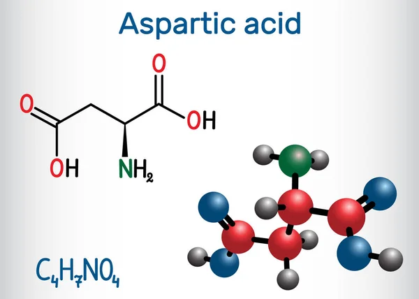 Ασπαρτικό οξύ, L-ασπαρτικό οξύ, ASP, μόριο ασπαρτικού πρωτεϊνογόνου αμινοξέος. Δομική χημική φόρμουλα και μοντέλο μόριο — Διανυσματικό Αρχείο