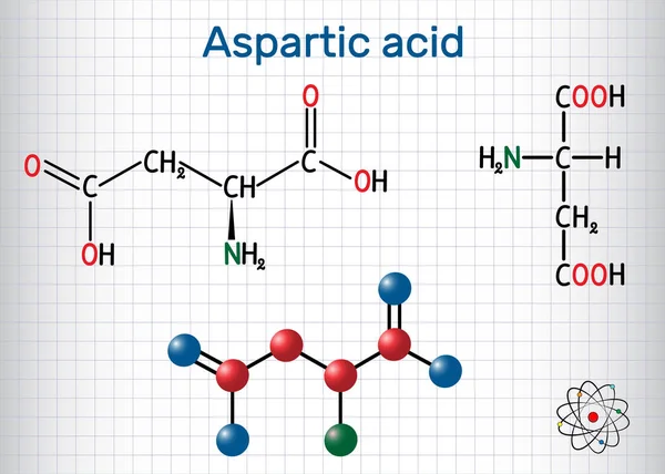 Ácido aspártico, ácido L-aspártico, Asp, molécula de aminoácido proteinogénico aspartato. Hoja de papel en una jaula. Fórmula química estructural y modelo molecular — Vector de stock