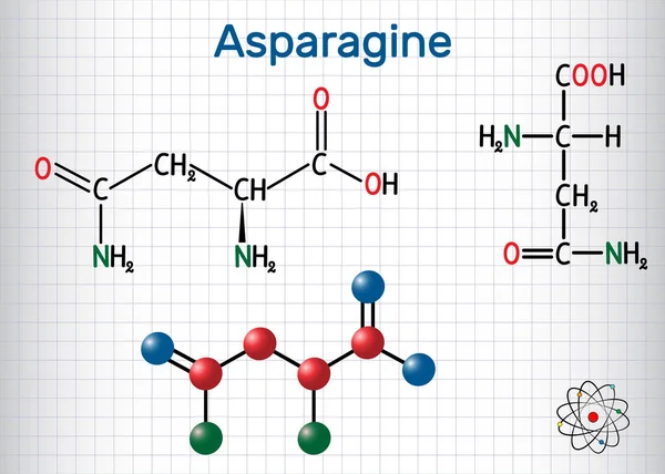 Asparagina, L-asparagina, Asn, molécula de aminoácidos. É usado na biossíntese de proteínas. Folha de papel em uma jaula. Fórmula química estrutural e modelo de molécula —  Vetores de Stock