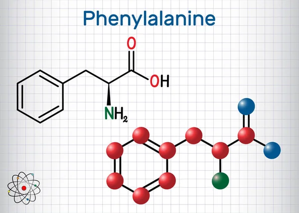 Fenilalanina, L-fenilalanina, Phe, molécula de aminoácidos. Hoja de papel en una jaula. Fórmula química estructural y modelo molecular — Vector de stock