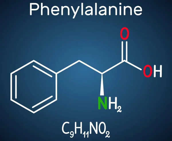 Fenilalanina, L-fenilalanina, Phe, molécula de aminoácidos. Fórmula química estructural sobre el fondo azul oscuro — Vector de stock