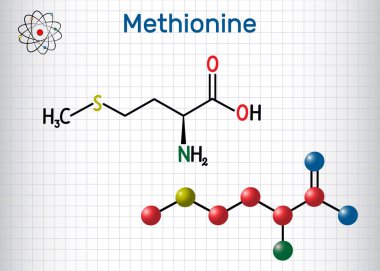 Metiyonin (l- metiyonin, Met , M) esansiyel amino asit molekülü. Kafesteki kağıt parçası. Yapısal kimyasal formül ve molekül modeli.