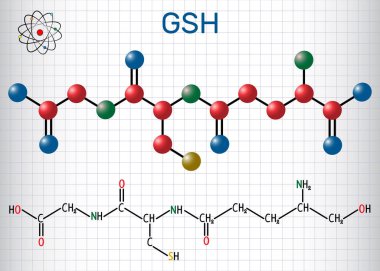 Glutathione (GSH) molecule, is an important antioxidant in plants, animals and some bacteria. Structural chemical formula and molecule model. Sheet of paper in a cage clipart