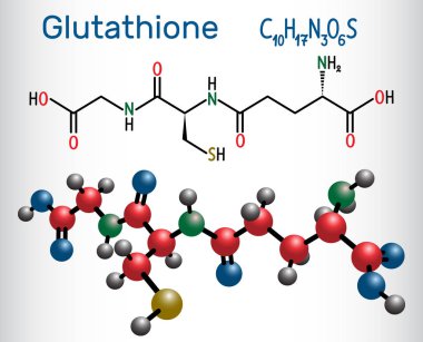 Glutathione (GSH) molecule, is an important antioxidant in plants, animals and some bacteria. Structural chemical formula and molecule model.  clipart