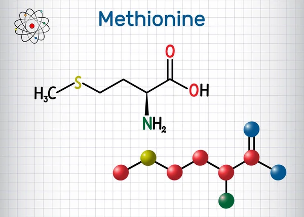 Metionina (l-metionina, Met, M) molécula esencial de aminoácidos. Hoja de papel en una jaula. Fórmula química estructural y modelo molecular . — Vector de stock