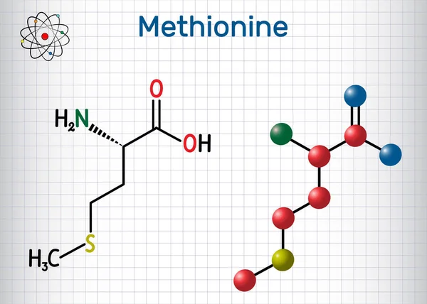 Metionina (l-metionina, Met, M) molécula esencial de aminoácidos. Hoja de papel en una jaula. Fórmula química estructural y modelo molecular . — Vector de stock