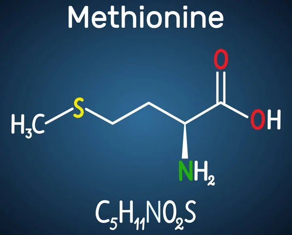 Metionina (l-metionina, Met, M) molécula esencial de aminoácidos. Fórmula química estructural sobre el fondo azul oscuro . — Vector de stock