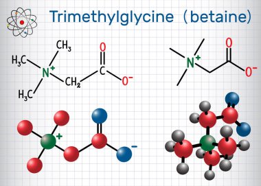 Trimetilglisin (Tmg, betain, glisin betain), şeker pancarı bulunur. Yapısal kimyasal formül ve molekül modeli. Kafesteki kağıt levha.