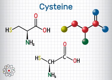 Sistein (L-sistein, Sistein, C) proteinojenik amino asit molekülü