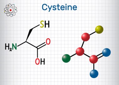 Sistein (L-sistein, Sistein, C) proteinojenik amino asit molekülü