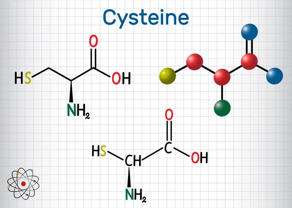 Cisteína (L-cisteína, Cys, C) molécula proteinogénica de aminoácidos — Vector de stock