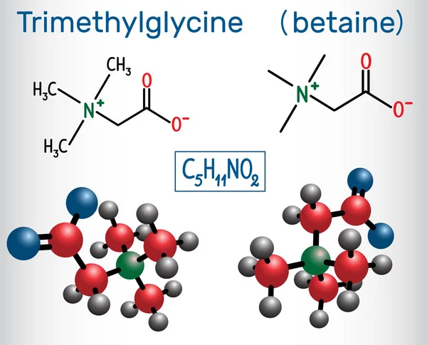 Trimetilglisin (Tmg, betain, glisin betain), şeker pancarı bulunur. Yapısal kimyasal formül ve molekül modeli.