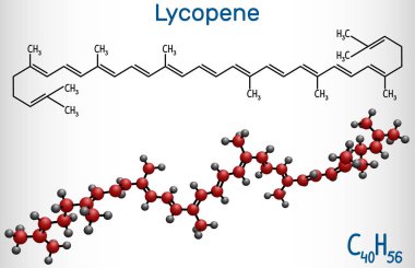 Likopen molekülü. Yapısal kimyasal formül ve molekül modeli
