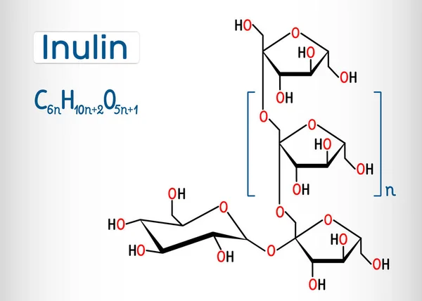 Inulinmolekylen. Strukturell kemisk formel och molekyl modell. — Stock vektor