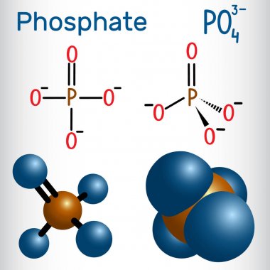Phosphate anion molecule .  Structural chemical formula and molecule model clipart