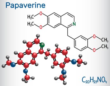 Papaverine molekülü. Bu afyon alkaloid antispazmodik ilaçtır. Yapısal kimyasal formül ve molekül modeli