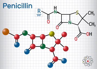 Penisilin Pcn molekülünün genel formülü. Bir grup antibiyotik. Kafesteki kağıt parçası. Yapısal kimyasal formül ve molekül modeli