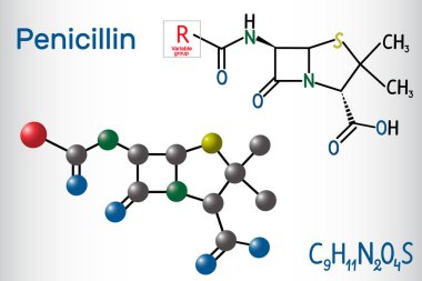 Penisilin Pcn molekülünün genel formülü. Bir grup antibiyotik. Yapısal kimyasal formül ve molekül modeli