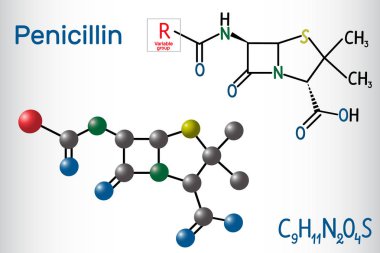 General formula of penicillin PCN molecule. It is a group of antibiotics. Structural chemical formula and molecule model clipart