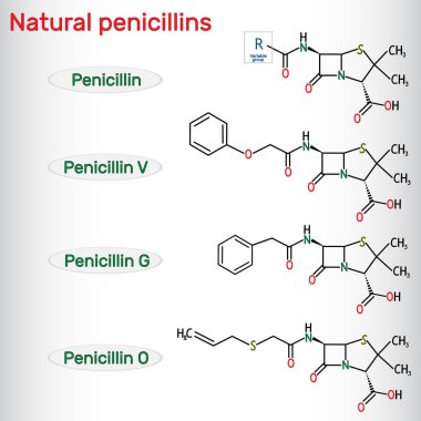 Doğal penisilinler antibiyotik ilaç molekülü. Benzilpenisilin , fenoksimethylpenicillin, almecillin. Yapısal kimyasal formül