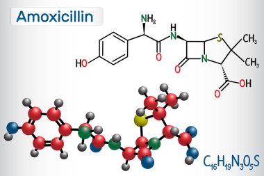Amoksisilin ilaç molekülü. Beta-laktam antibiyotik. Yapısal kimyasal formül ve molekül modeli.