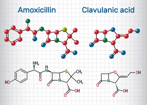 Amoxicillin és a klavulánsav kábítószer-molekula. Kombináció egy antibiotikum hasznos kezelésére bakteriális fertőzések. Papírlap egy ketrecben. Szerkezeti kémiai Formula és molekulamodell — Stock Vector