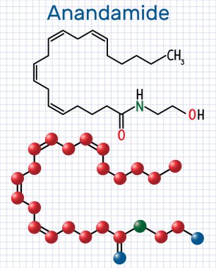 Anandamid molekülü. Bu endojen kannabinoid nörotransmitter olduğunu. Yapısal kimyasal formül ve molekül modeli. Kafesteki kağıt levha
