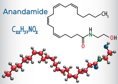 Anandamid molekülü. Bu endojen kannabinoid nörotransmitter olduğunu. Yapısal kimyasal formül ve molekül modeli.